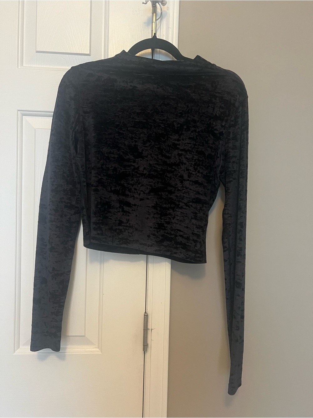 ✨SOLD✨Lululemon Align Mock Neck Long Sleeve Velvet Top